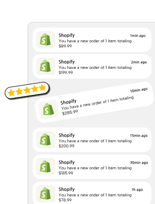 International SEO Expert